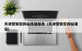 湖南天津营销型网站搭建服务（天津营销型网站建设）