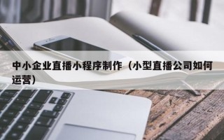 湖南中小企业直播小程序制作（小型直播公司如何运营）